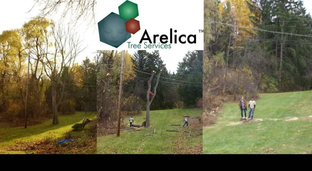 Professional residential landscaping for residential properties in Royal Oak, MI by Arelica Tree Services