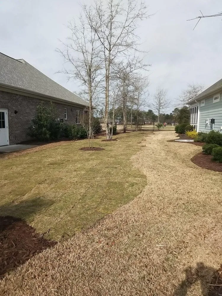 Top-rated yard maintenance in Wilmington, NC - Arellanes Landscaping