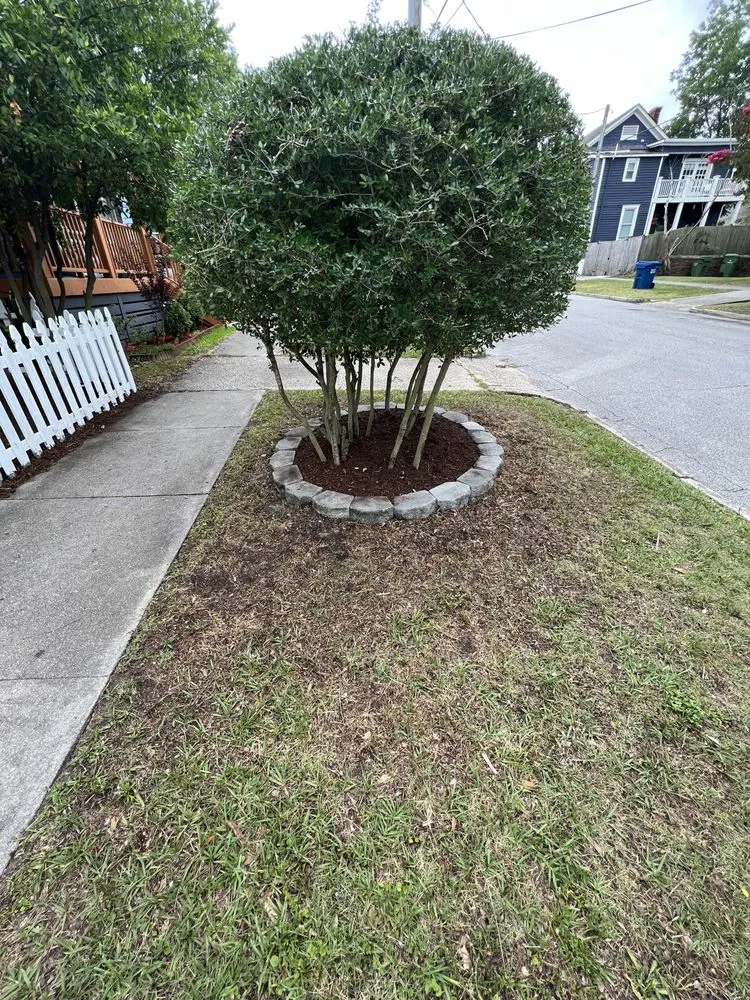 Local landscape installation in Wilmington, NC - Arellanes Landscaping