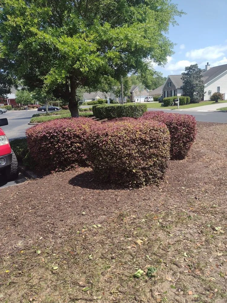Local yard maintenance for homes across Wilmington, NC - Arellanes Landscaping