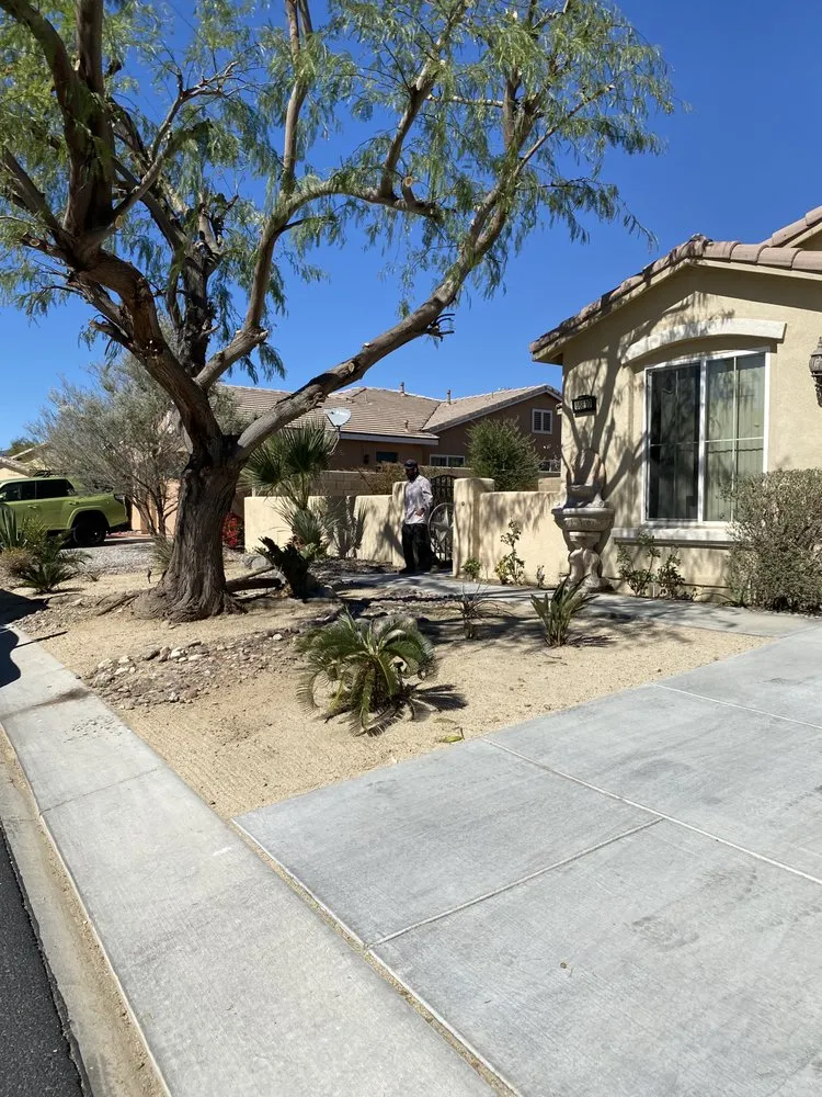 Custom lawn care service for year-round maintenance in Desert Hot Springs, CA by Arellano Gardening & Landscaping