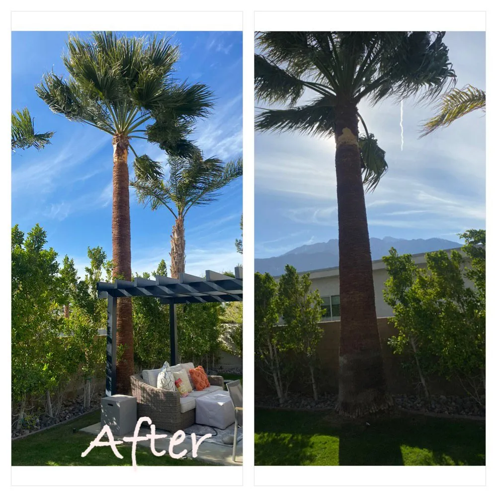Top-rated lawn care service for residential properties in Desert Hot Springs, CA by Arellano Gardening & Landscaping