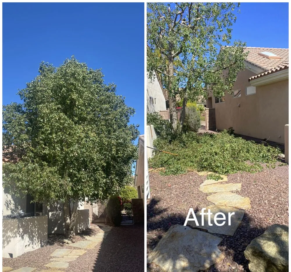 Affordable residential landscaping in Desert Hot Springs, CA by Arellano Gardening & Landscaping