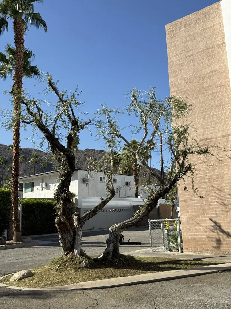 Expert residential landscaping in Desert Hot Springs, CA by Arellano Gardening & Landscaping