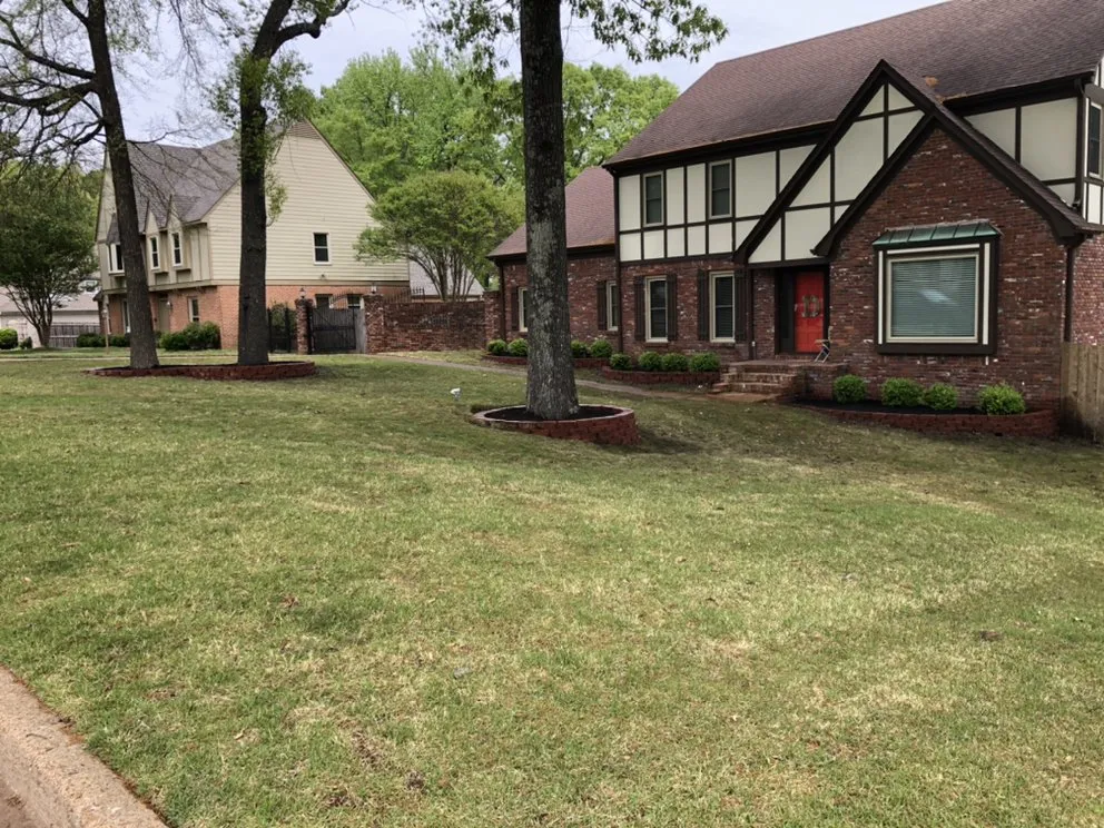 Expert yard cleanup service for homes in Memphis, TN by Arellano Landscape and Construction