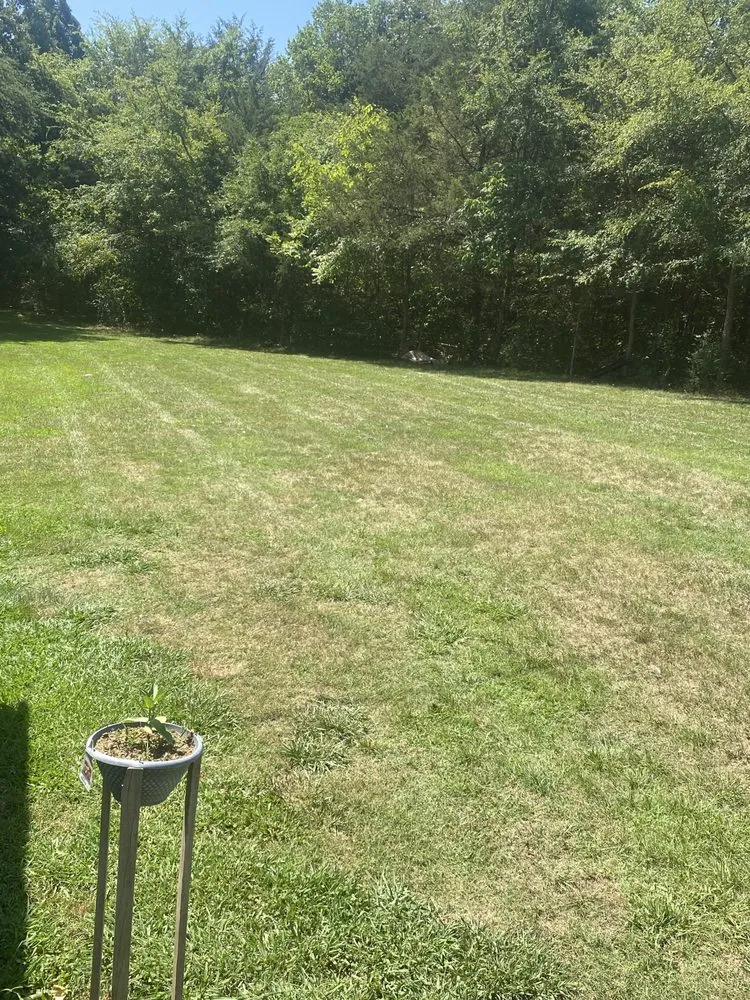 Reliable landscape installation for outdoor upgrades in Mocksville, NC by Arellano Landscaping