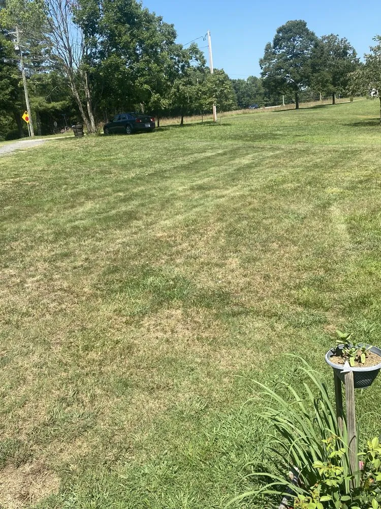 Custom landscape installation experts serving Mocksville, NC - Arellano Landscaping