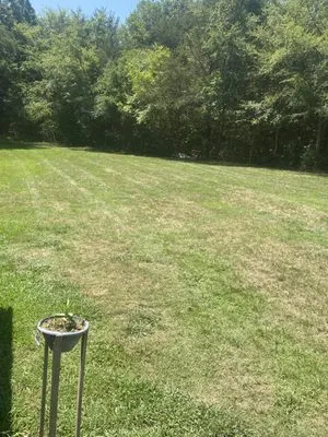 Arellano Landscaping Logo