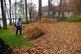 Affordable yard cleanup service for beautiful yards across St Charles, IL - Arellano Landscaping