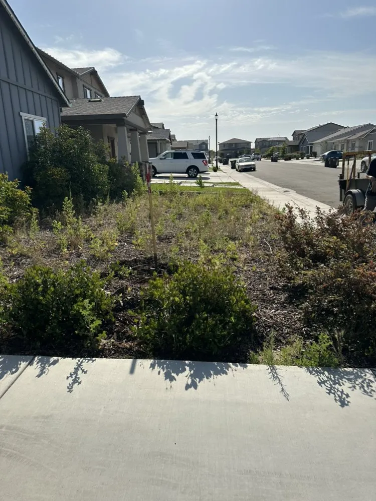 Top-rated lawn care service experts serving Stockton, CA - Arellano Landscaping