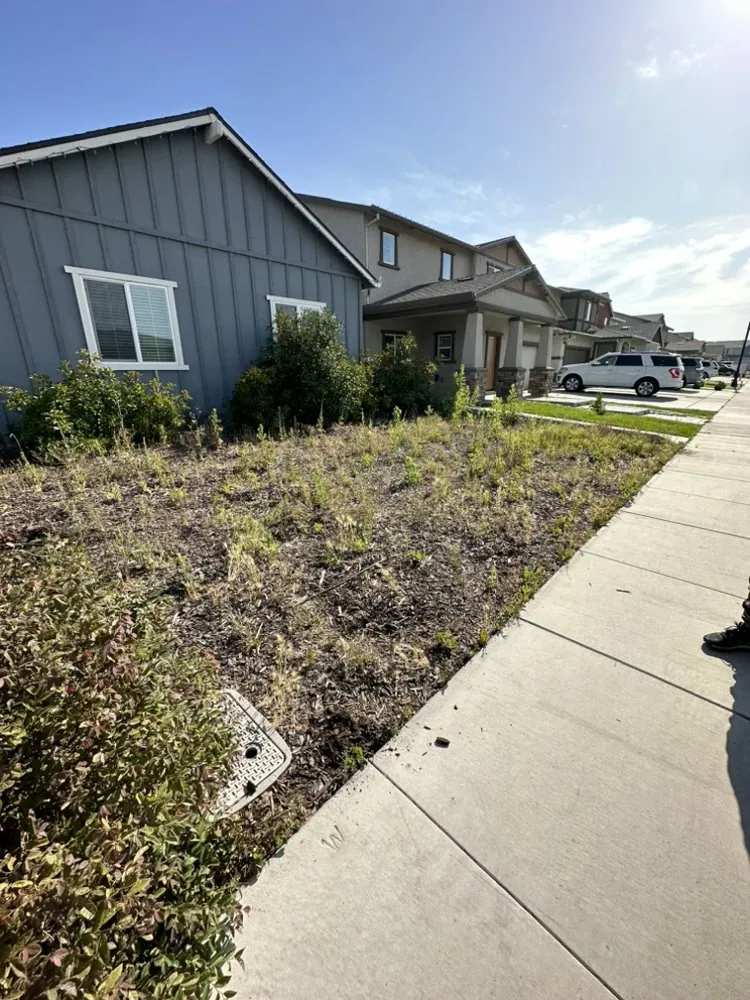 Trusted yard maintenance experts serving Stockton, CA - Arellano Landscaping