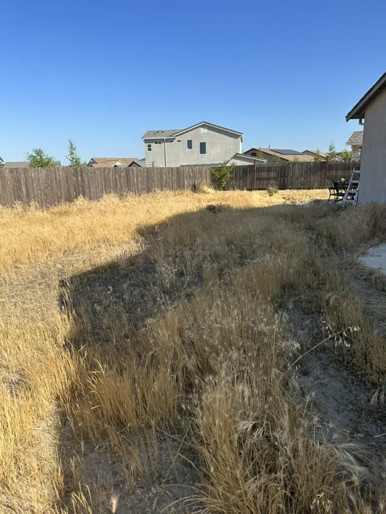 Affordable landscape design for outdoor upgrades in Stockton, CA by Arellano Landscaping