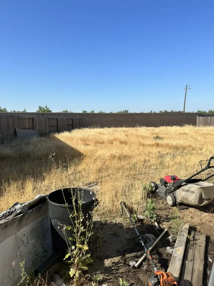 Top-rated yard cleanup service in Stockton, CA - Arellano Landscaping