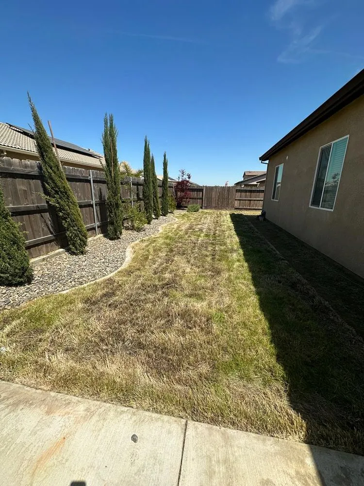 Top-rated yard maintenance experts serving Stockton, CA - Arellano Landscaping