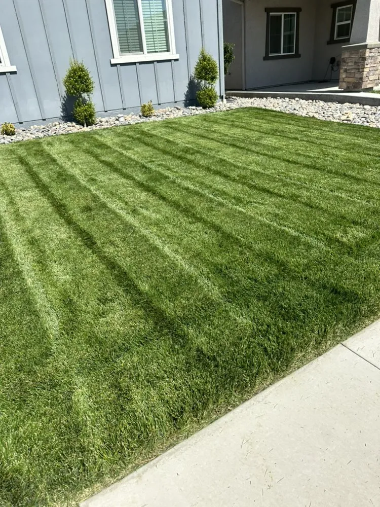 Expert landscape installation with custom design across Stockton, CA - Arellano Landscaping