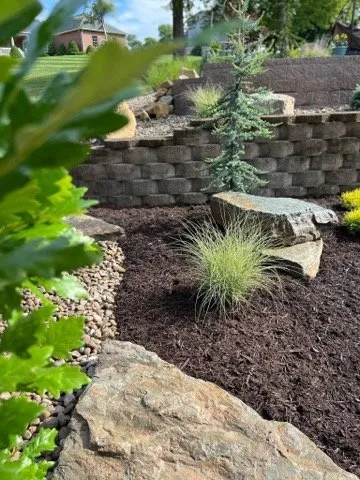 Affordable lawn care service for year-round maintenance in Bridgeport, WV by Arellano Lawncare And Tree's service