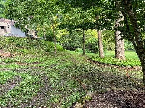 Reliable yard cleanup service for residential properties across Bridgeport, WV - Arellano Lawncare And Tree's service
