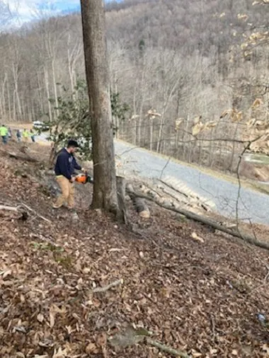 Professional landscape design near you across Bridgeport, WV - Arellano Lawncare And Tree's service