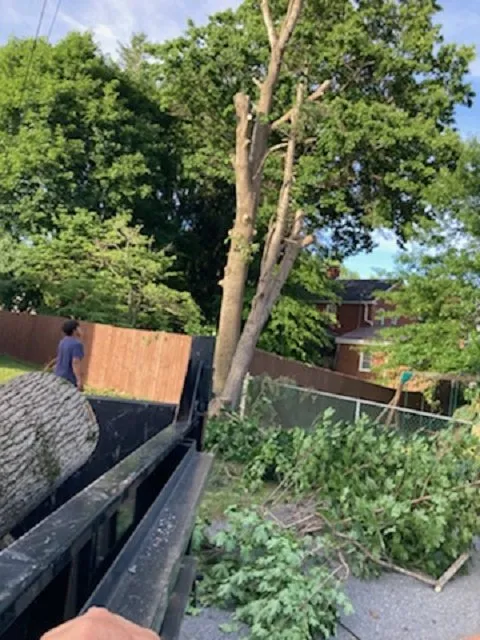 Expert landscape design for residential properties in Bridgeport, WV by Arellano Lawncare And Tree's service