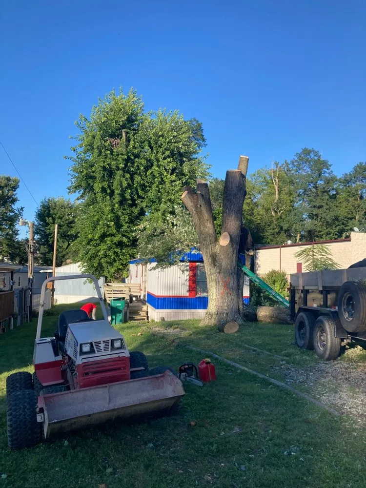 Trusted landscape design experts serving Bridgeport, WV - Arellano Lawncare And Tree's service