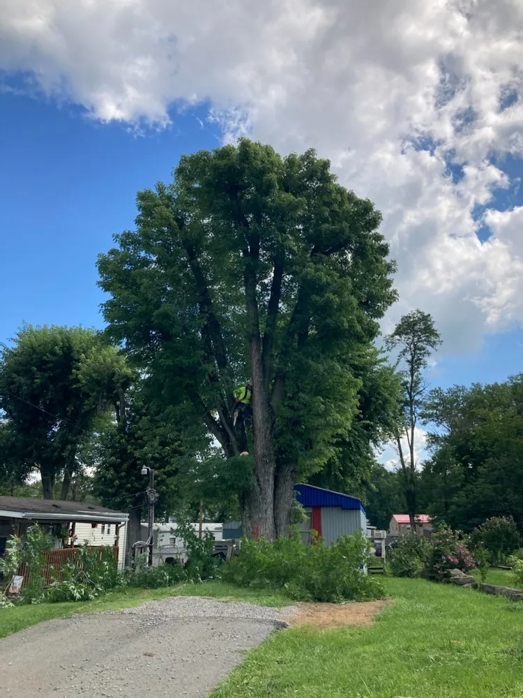 Reliable garden landscaping in Bridgeport, WV - Arellano Lawncare And Tree's service