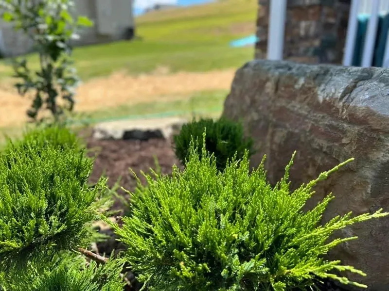 Custom lawn mowing service experts serving Bridgeport, WV - Arellano Lawncare And Tree's service