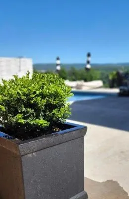 Arellano Lawncare And Tree's service