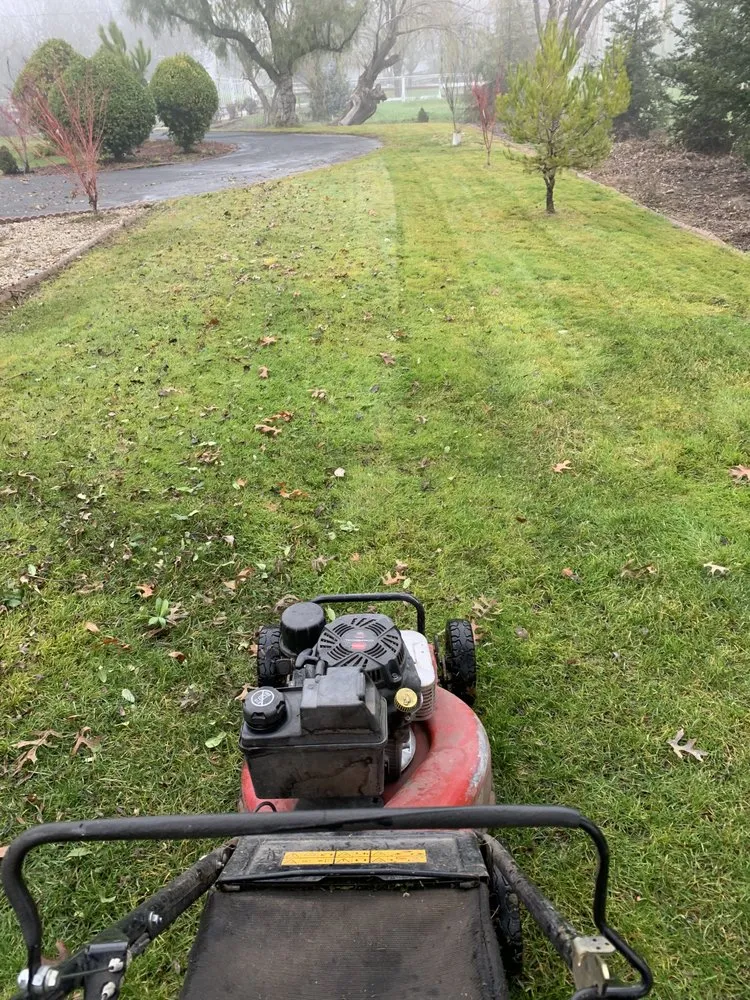 Professional garden landscaping near you across Modesto, CA - Arellanoo Landscaping