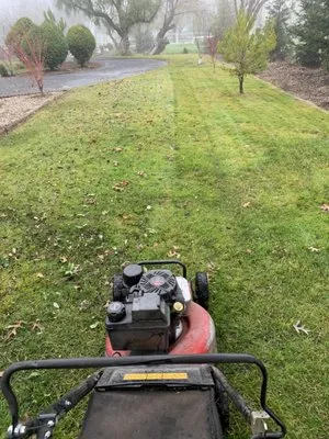 Arellanoo Landscaping Logo