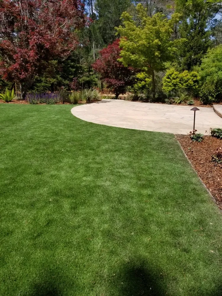 Top-rated landscaping services experts serving Los Altos, CA - Arellano’s Landscape