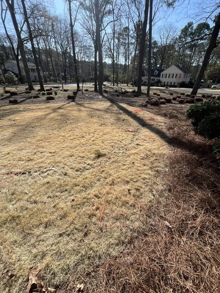 Reliable residential landscaping experts serving Rome, GA - Arellano’s Lawn Care Services