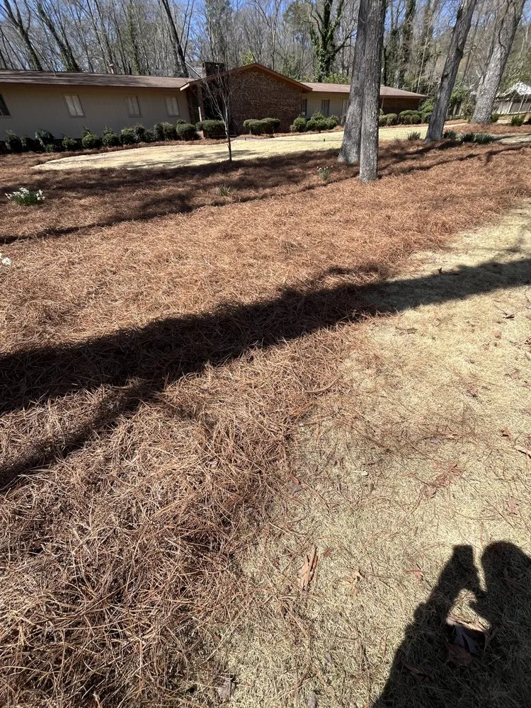 Trusted yard maintenance in Rome, GA by Arellano’s Lawn Care Services