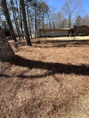 Arellano’s Lawn Care Services Logo