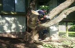 Affordable landscape installation in Falls Church, VA - Arel's Tree Service