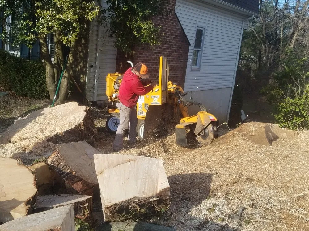 Custom landscape installation in Falls Church, VA by Arel's Tree Service