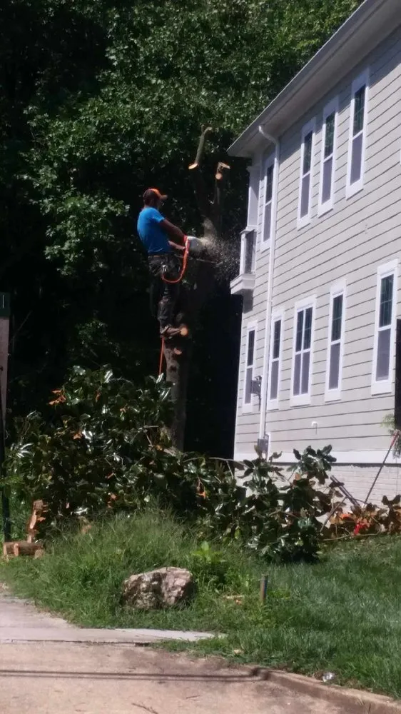 Expert lawn mowing service experts serving Falls Church, VA - Arel's Tree Service