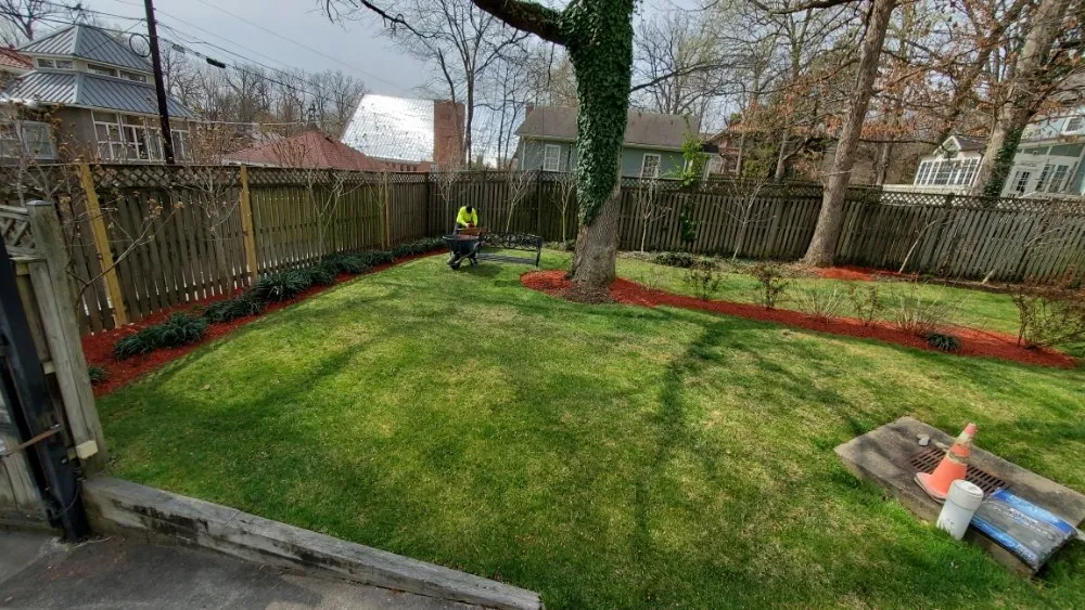 Local lawn care service in Hyattsville, MD - Arely's All Construction