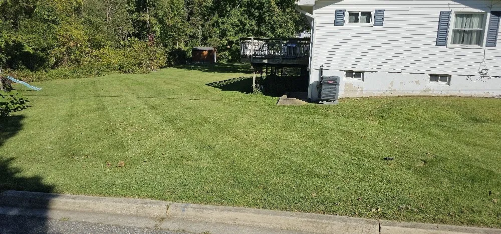 Local landscape installation experts serving Hyattsville, MD - Arely's All Construction