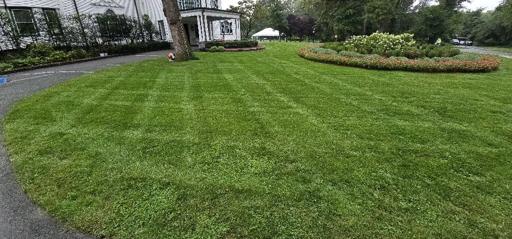 Custom landscape installation in Hyattsville, MD - Arely's All Construction