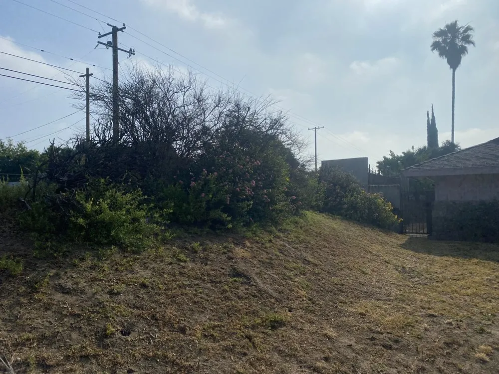 Affordable landscape installation in Fontana, CA by Arenas Landscape