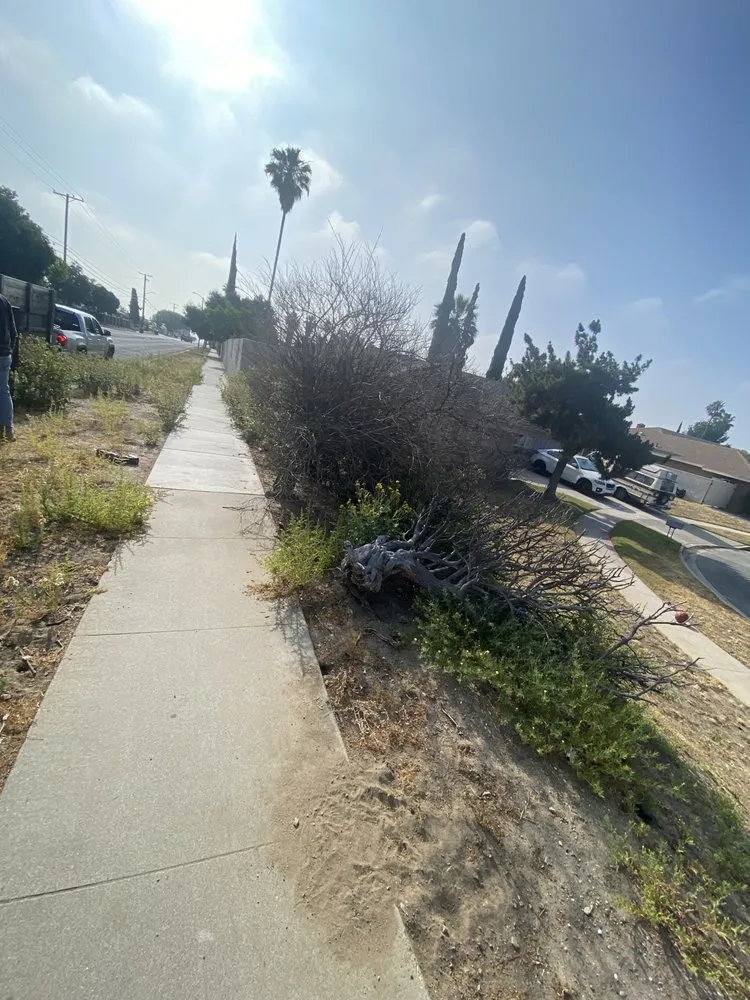 Affordable landscape design in Fontana, CA by Arenas Landscape