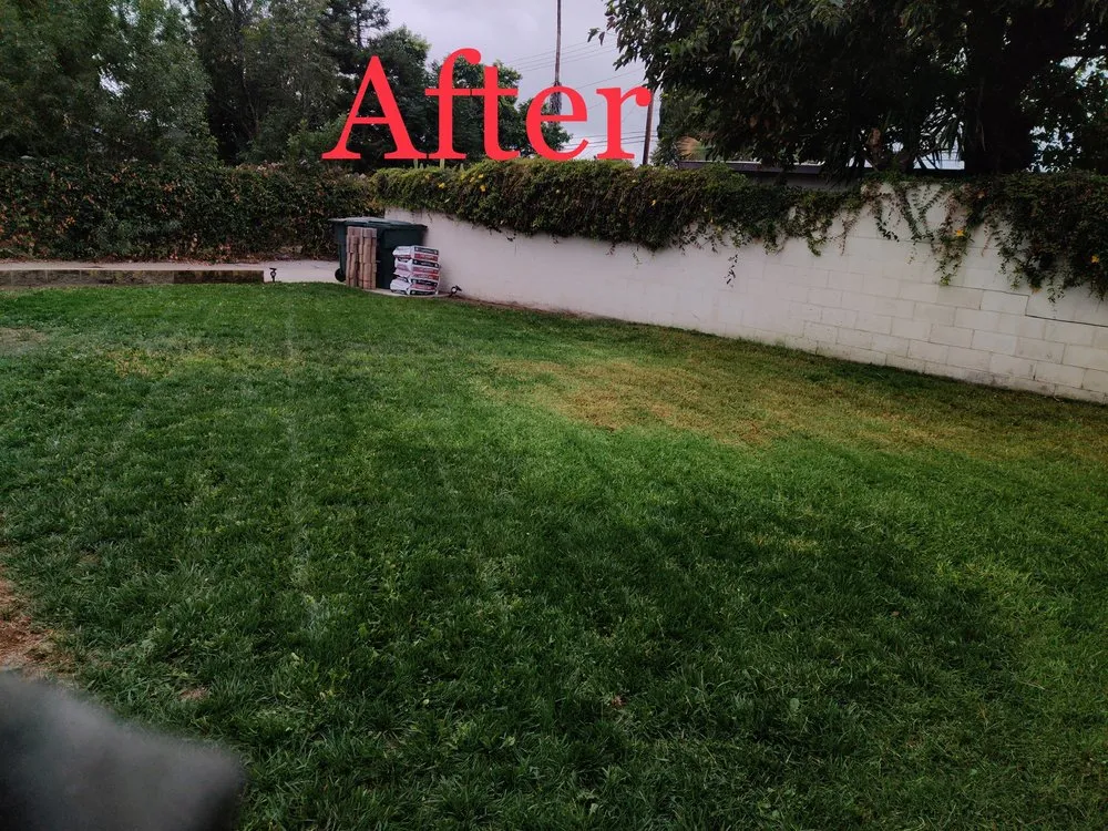 Custom landscape installation in Fontana, CA - Arenas Landscape