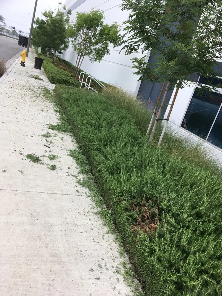 Top-rated landscaping services experts serving Fontana, CA - Arenas Landscape