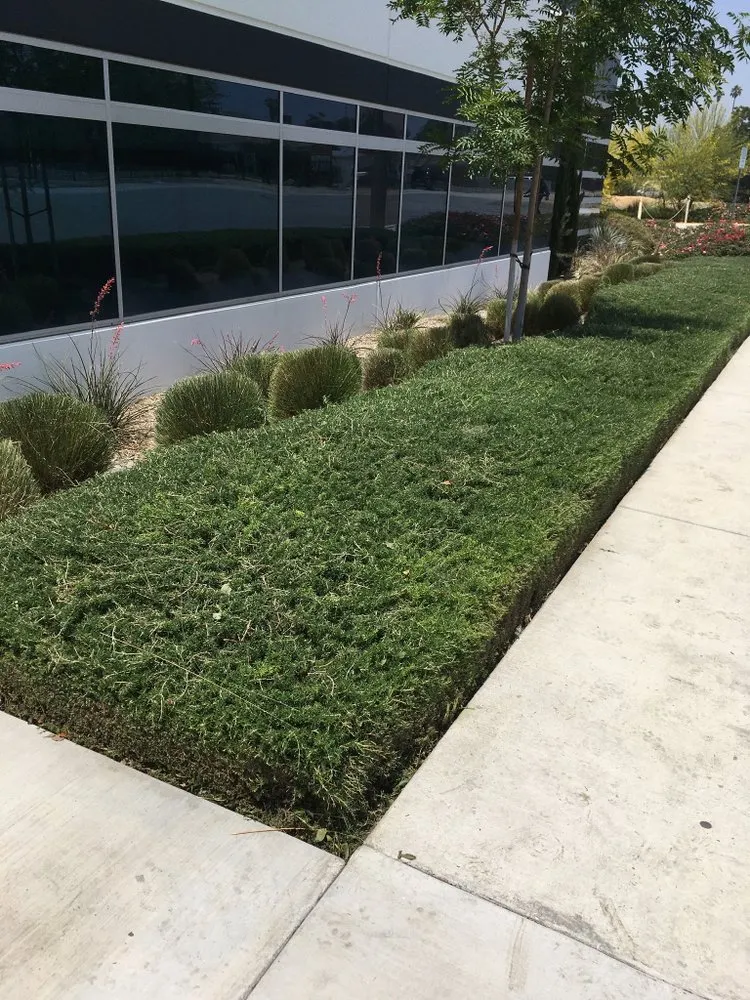 Reliable lawn care service in Fontana, CA by Arenas Landscape