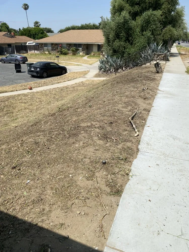Affordable yard maintenance experts serving Fontana, CA - Arenas Landscape