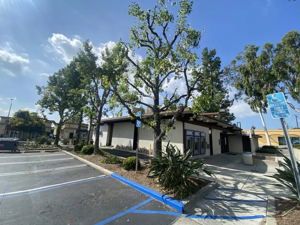 Trusted yard cleanup service in Fontana, CA - Arenas Landscape