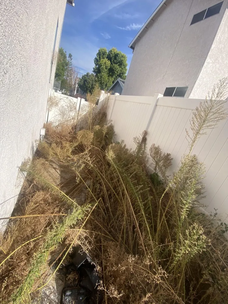 Local landscape design in Fontana, CA - Arenas Landscape