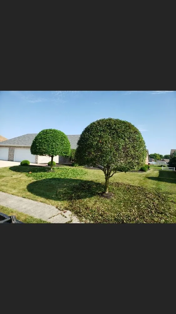 Custom landscape design for outdoor upgrades across Dayton, OH - Arenas Landscaping& Construction LLC