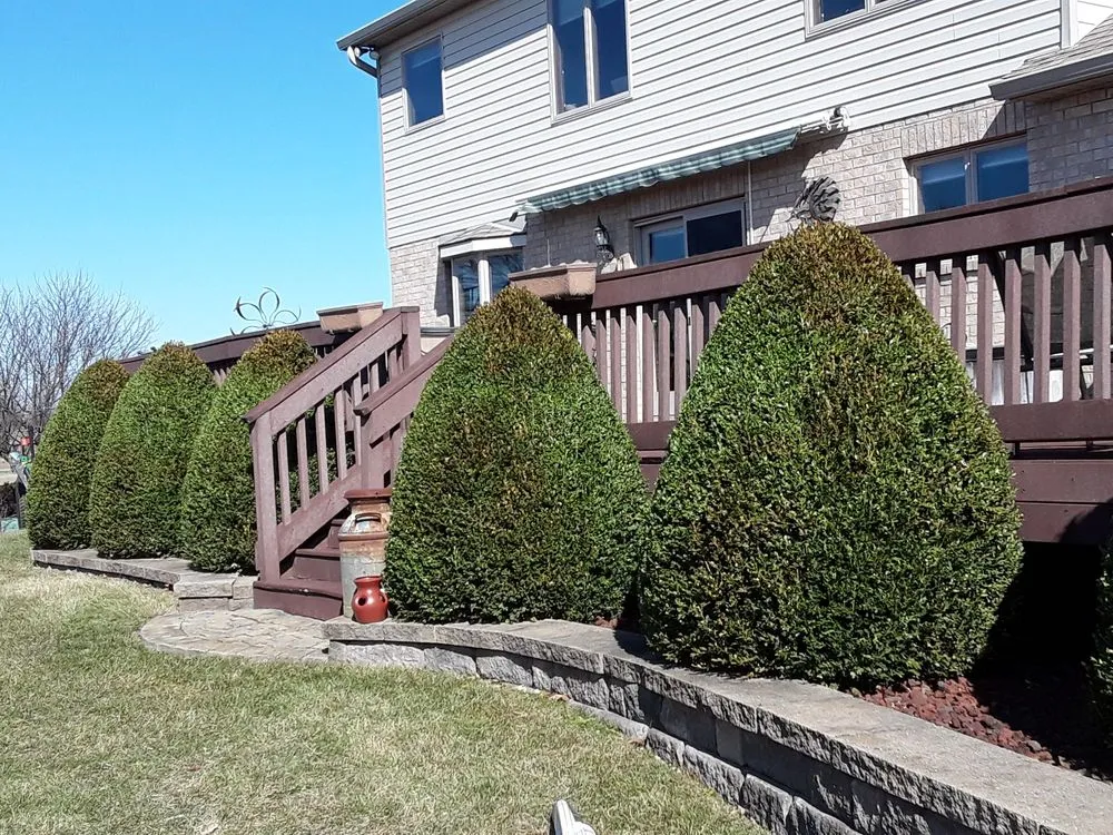 Trusted lawn care service in Dayton, OH by Arenas Landscaping& Construction LLC