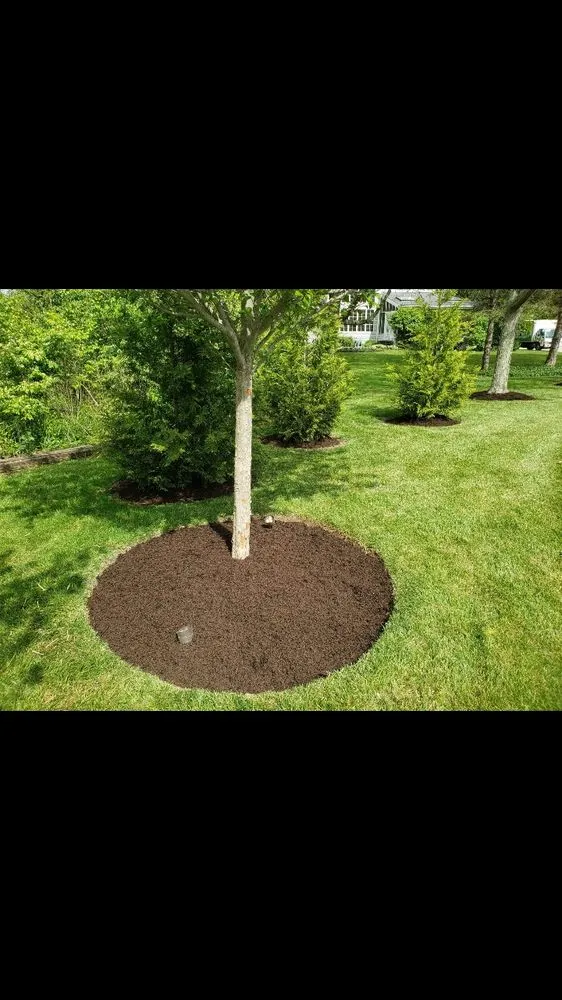Local lawn care service in Dayton, OH - Arenas Landscaping& Construction LLC